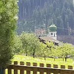 Pfeifer Appartement *