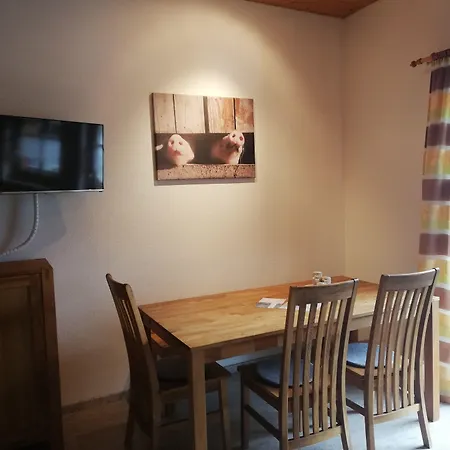 Pfeifer Appartement Sankt Gallenkirch