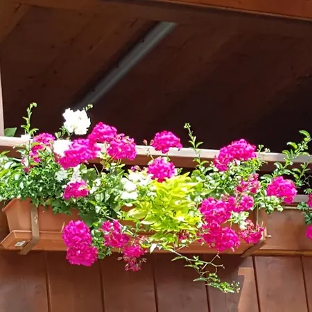 Διαμέρισμα Pfeifer