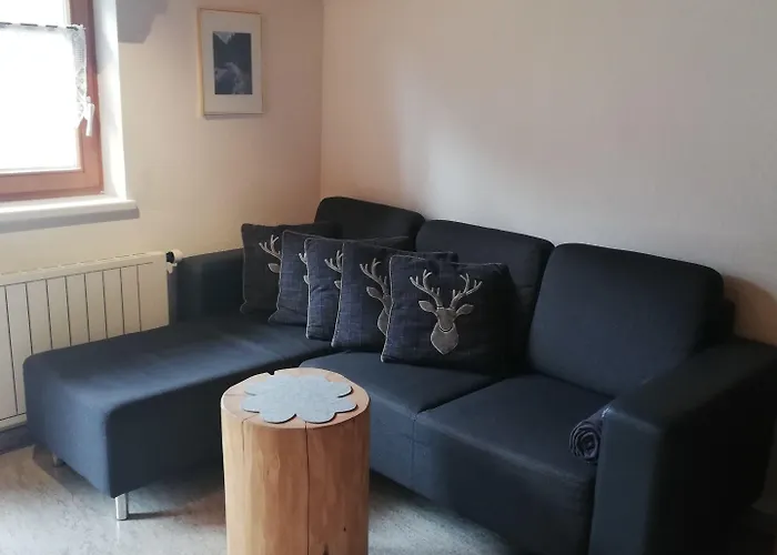 Pfeifer Apartment Sankt Gallenkirch